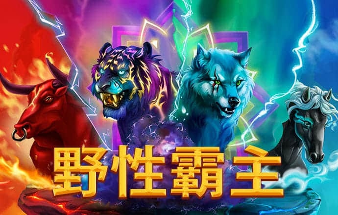 c7棋牌竞技游戏